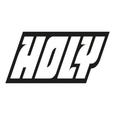 holy icon